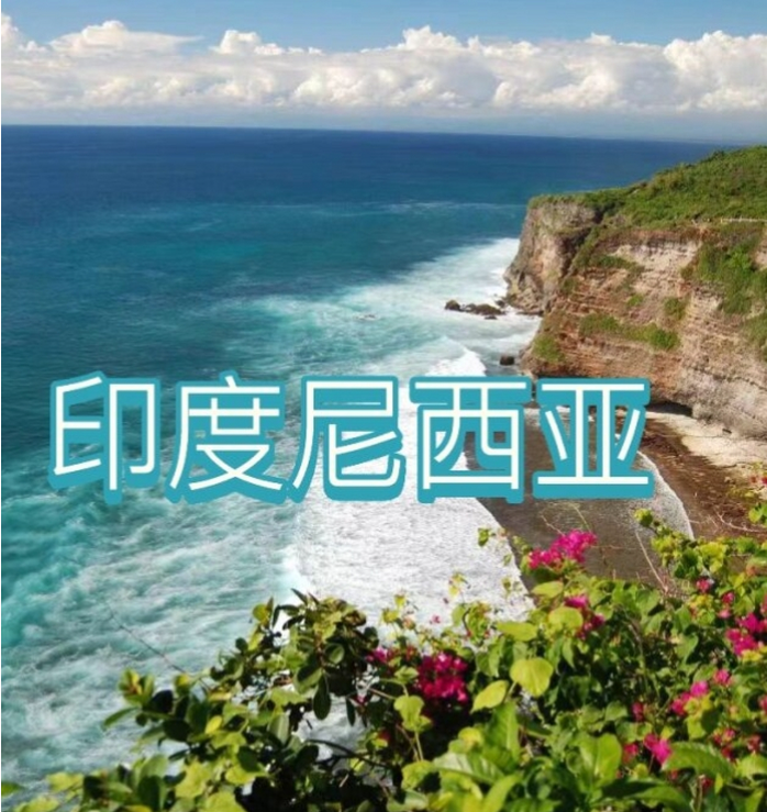 国际电商(印尼)产业博览会pg电子试玩2025中国(图3)